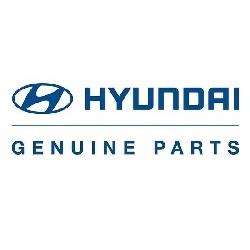 hyundai_gen_parts